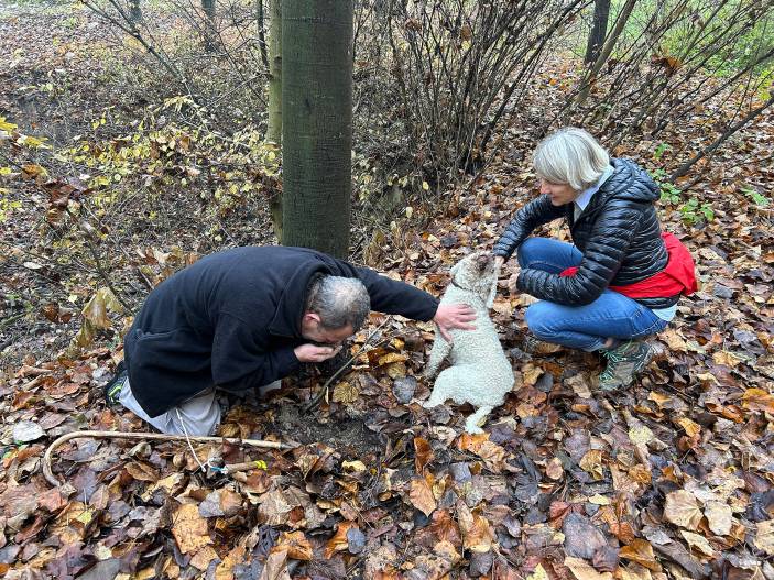 Trüffelsuche im Piemont